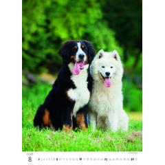  Kalendář Štěňátka