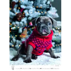  Kalendář Štěňátka