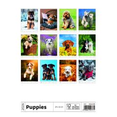  Kalendář Štěňátka