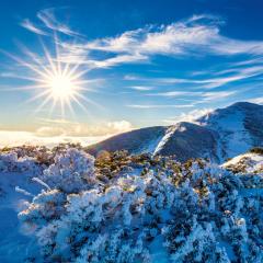  Slovenský kalendár Slovensko - viazanka