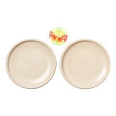 Plážová hra Trena