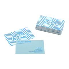 odoln&eacute; vizitky na zak&aacute;zku Visicard Safe