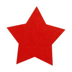 Vada vánočních podtácků z RPET Vagnes