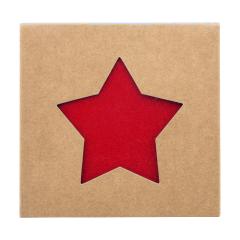 Vada vánočních podtácků z RPET Vagnes