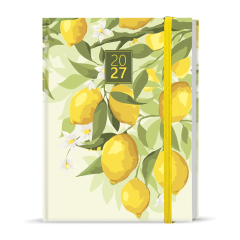  Denní diář - Adam - Lamino - B6 - Citron