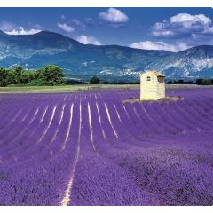  Kalendář Provence - vázanka
