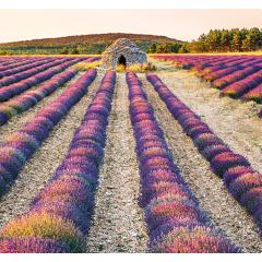  Kalendář Provence - vázanka